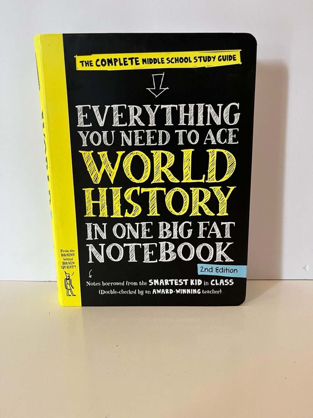 Everything You Need to Ace World History in One Big Fat Notebook